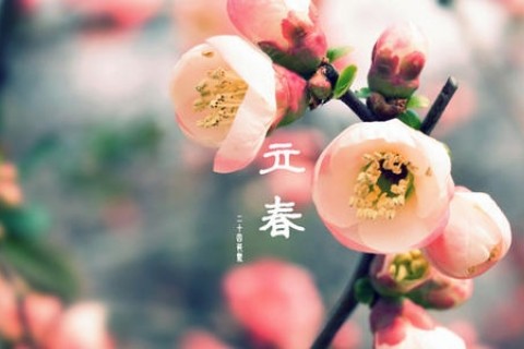 二十节气立春时节的民间广为流传的经典谚语