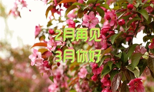 你好3月再见2月的说说年2月再见3月你好说说 节日说说 说说吧