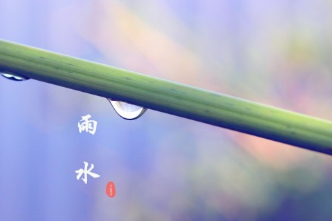 二十四节气雨水微信朋友圈祝福说说