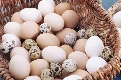 鸡蛋、鸭蛋、鹅蛋、鹌鹑蛋哪种最适合你吃！